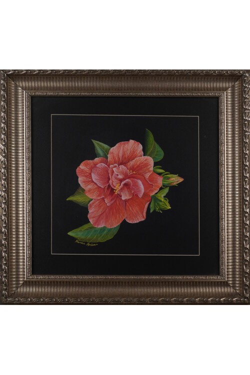 Kırmızı Hibiskus  (Ebe Gümeci) Çiçeği  Tablosu