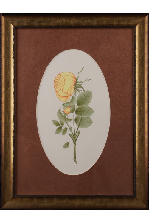 Sarı Gül Oval Tablo