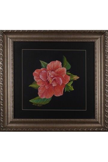 Kırmızı Hibiskus  (Ebe Gümeci) Çiçeği  Tablosu